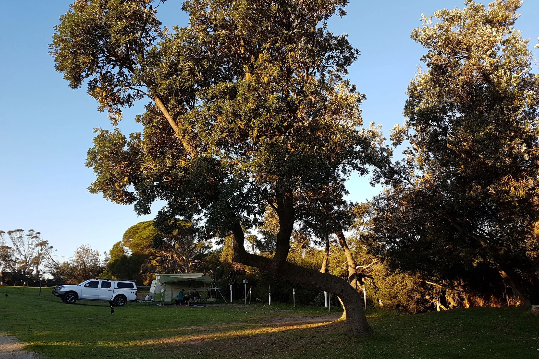 Premium Powered Site