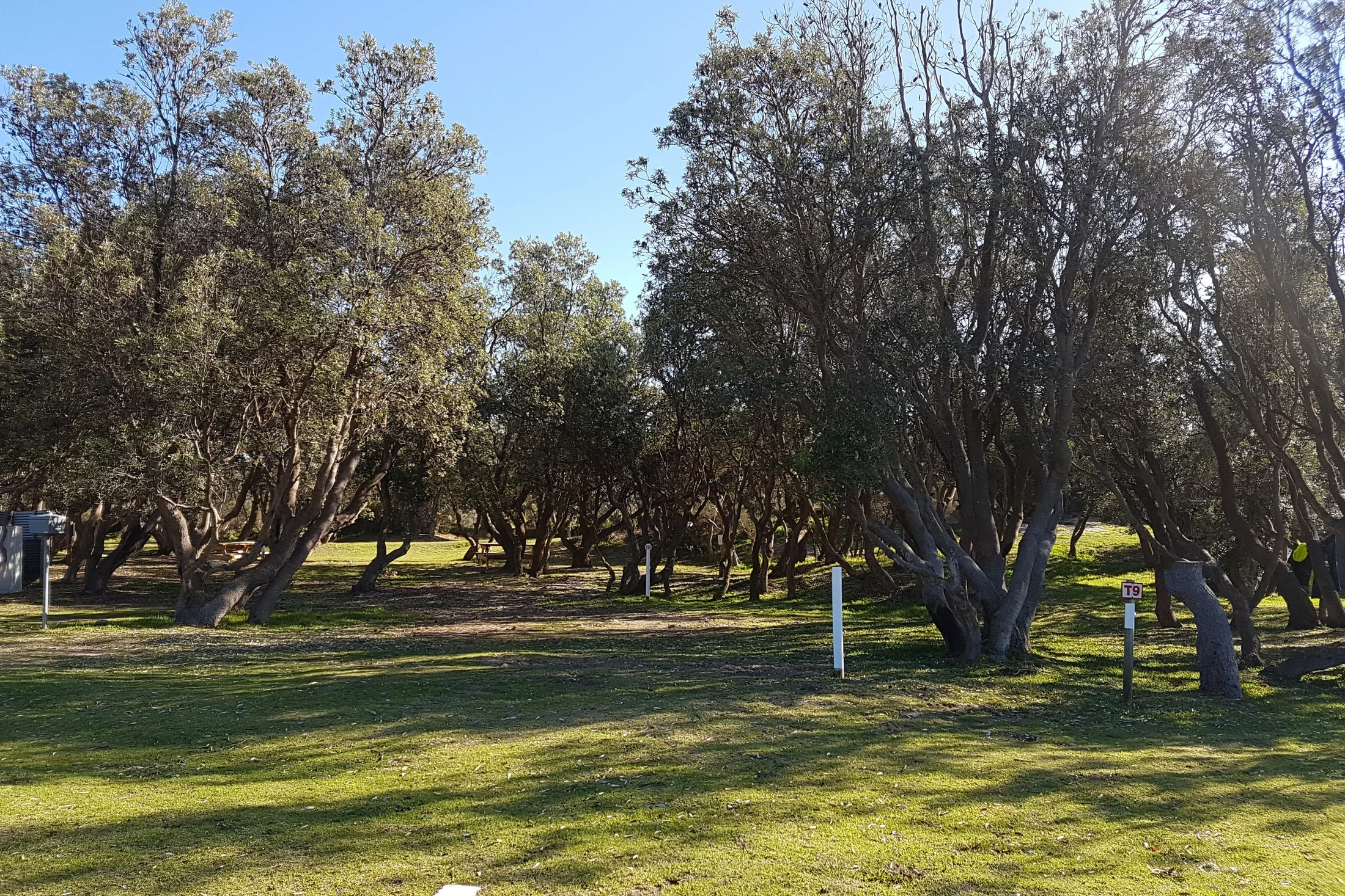 Waterfront Powered Site