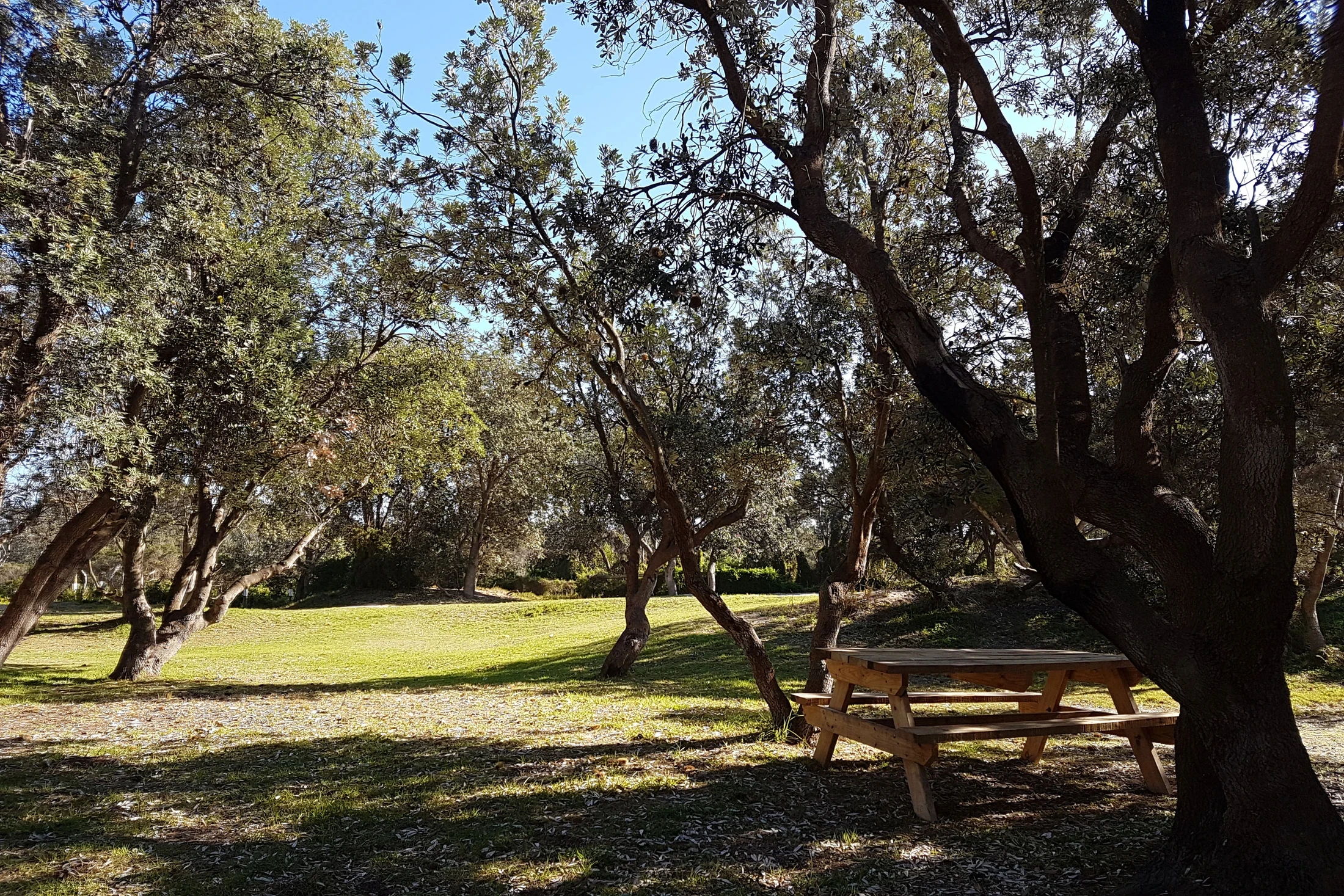 Beachside Unpowered Site